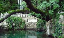 美丽的蝴蝶泉_500字