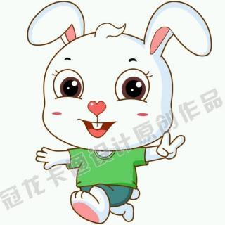 三年级观看成分：智能白色兔子_100字