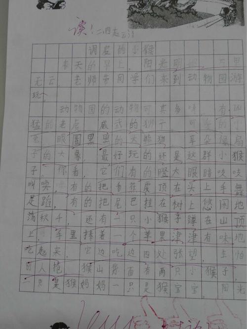 三年级观看作文：观看猴山_150字