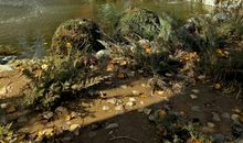 我爱你金色的秋天_550字