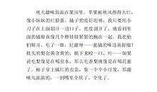 来自秋天的问候_450字