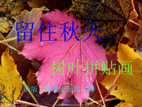 保留秋季_600字