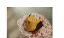 [梦想征文]孤独的旅程_600字