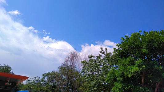 这也是一种景区_600字