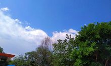 这也是风景_600字