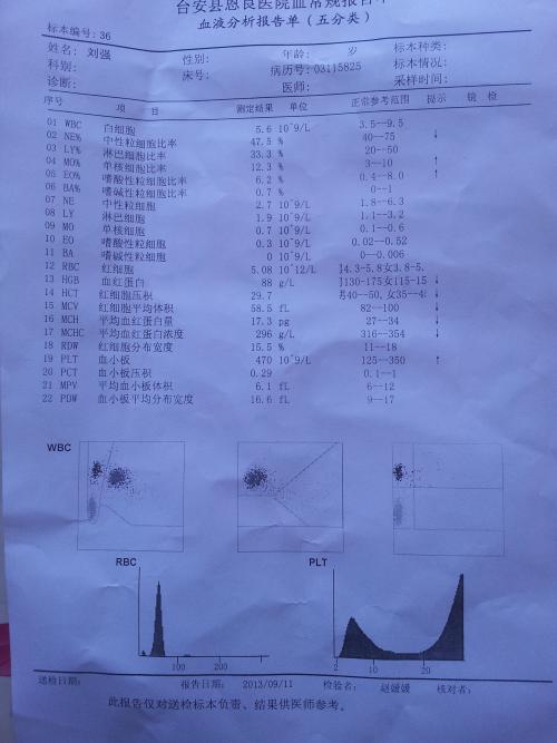 增长 -  3000字