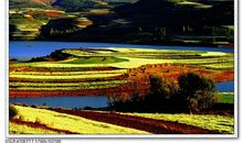 乡村的秋色_300字