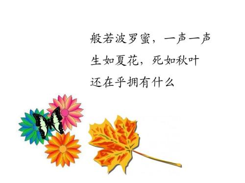 出生，夏天，像秋叶一样死亡_1500字