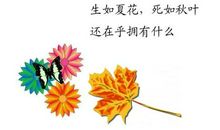 生如夏花，死如秋叶_1500字