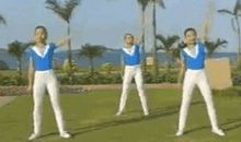 都是广播体操惹的祸_400字