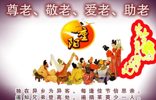 第九节的组成：双第九节_3000字