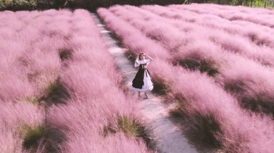 岳瑞毅作为叶_1200字