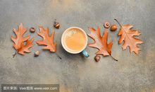 门外的秋天_400字