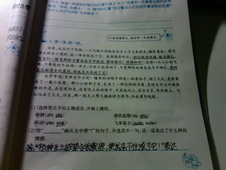 关于和平：我有这样的愿望_1000字