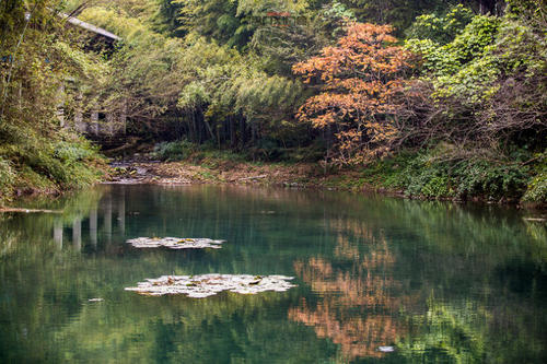 在领域的小河