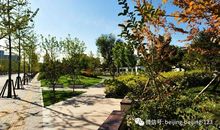 那四分之一的花园_1200字