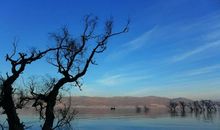 美丽的瞬间_900字