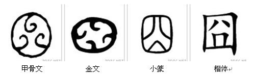 根_800字