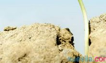 请微笑面对失败_700字