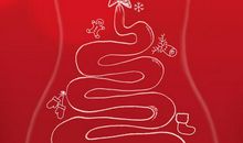 “乐乐”的一生_500字