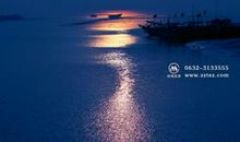 游览黄河风景区 _550字