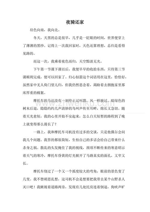 夜间骑家_800字