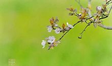 幸福，其实一直在你身边_650字