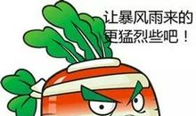 植物大战僵尸一家人_350字