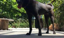 我的家庭真可爱_650字