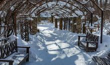 冬天的花园_400字