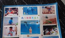 你我共成长_1000字