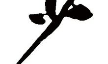 夜来风雨声_650字