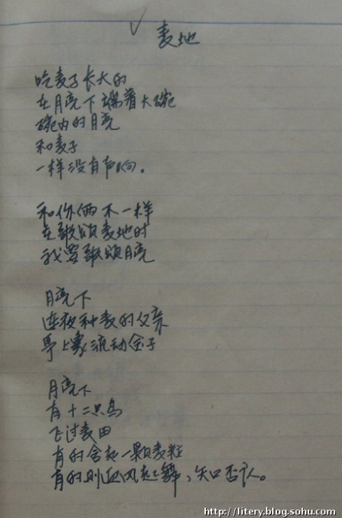 失眠 - 海洋的孤独_450字