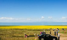 关于暑期的作文：迷人的青海湖_700字