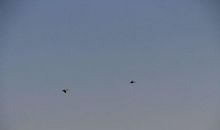 最好的自己_750字