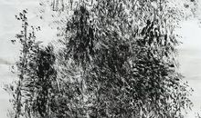 又见枝头吐新芽_450字