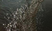 踏洋沙山_1500字