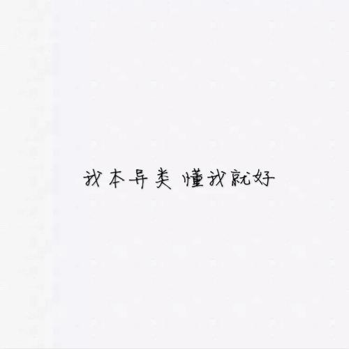 最美丽的收藏_750字