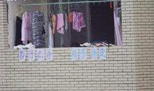 雷人标语之高校宿舍的抗猪流感