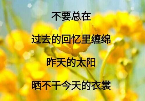 憧未_ _350字