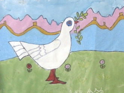 和平鸽子的自我比例_700字