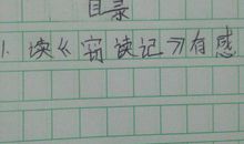 《献给母亲的歌》读后感_450字