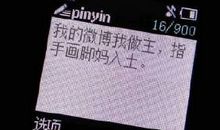 亚马细亚米丝草_1500字