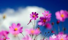 春天来了作文：春风飞过蔷薇_650字