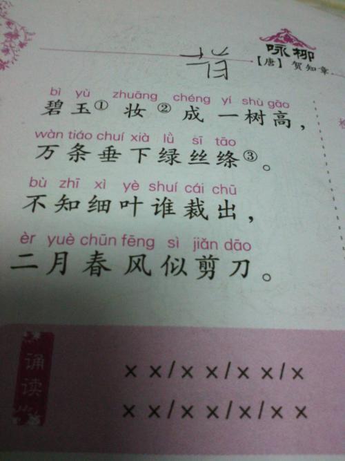 春天来了，我是春天的一个小雨_350字