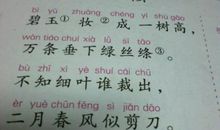 春天来了作文：我是春天的小雨点_350字