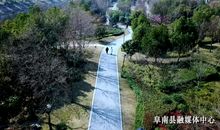 春天来了作文：春风春雨与春使_450字