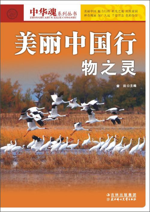 中国灵魂_800字
