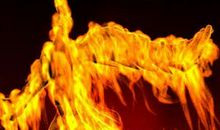 作茧自缚，涅磐重生_800字