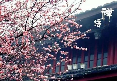 中等转弯